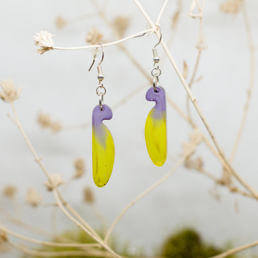 Двуцветни обеци