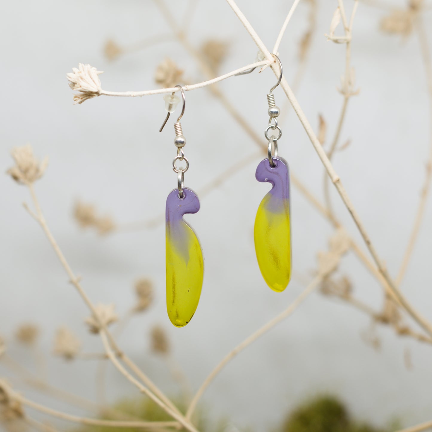 Двуцветни обеци